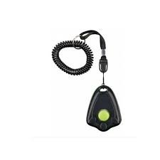 Clicker éducation