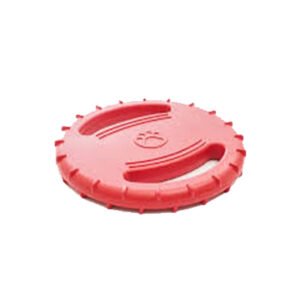 Frisbee flottant
