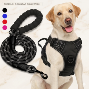 Harnais Anti-Traction Pro JOYTALE + Laisse Incluse — Confort & Contrôle pour Moyen & Grand Chien