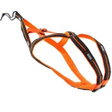 Harnais sport canicross