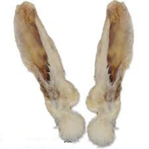 Oreilles de lapin avec poils