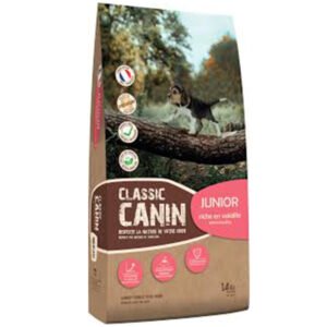 CLASSIC CANIN – JUNIOR