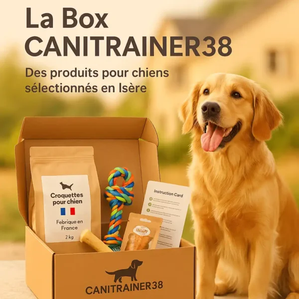 Box Canitrainer38