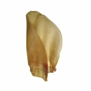 Oreilles de Bœuf Naturelles – Friandise de Mastication Longue Durée pour Chien